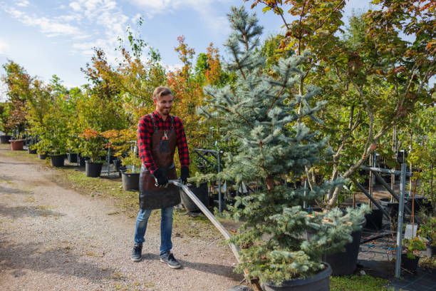 Best Hazardous Tree Removal  in Clay Center, KS